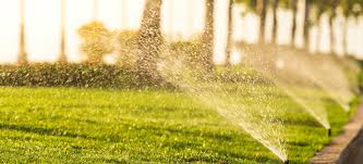 care about irrigation