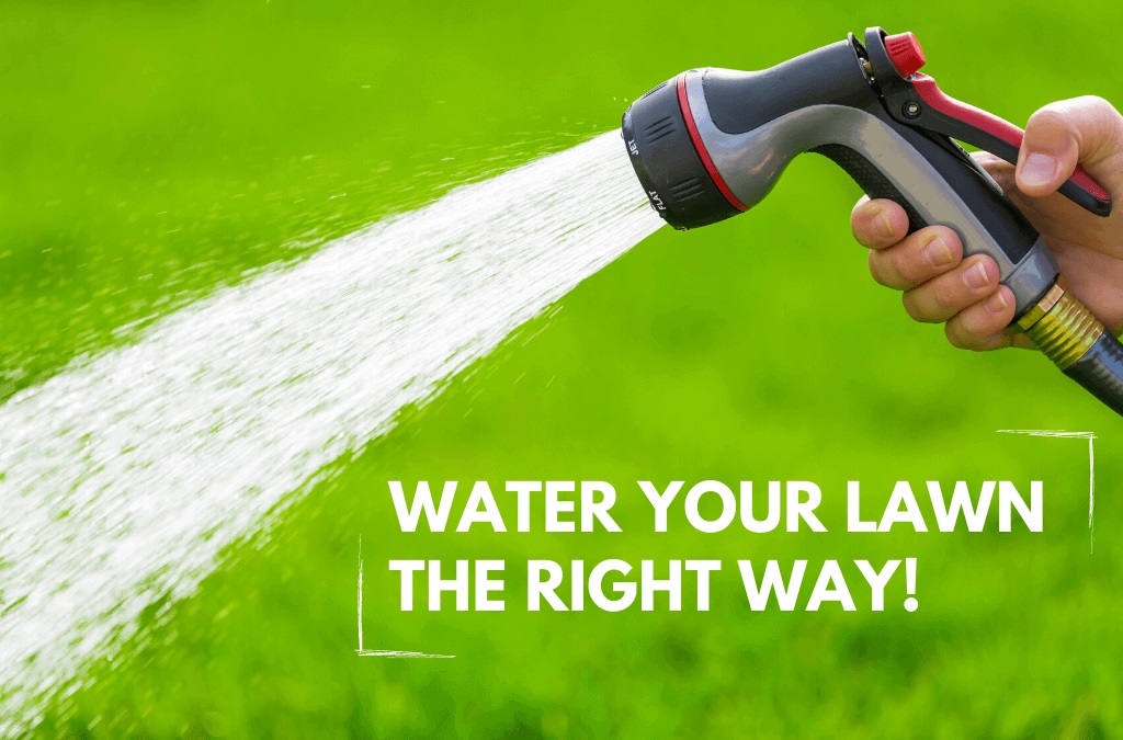 Water Your Lawn Right With Artificial Rain LLC Reliable Sprinkler Company In Indiana