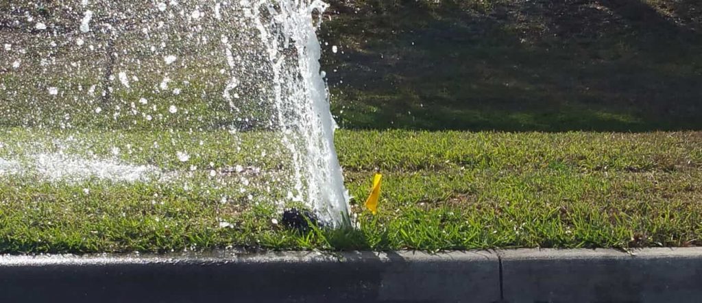 Broken sprinkler head
