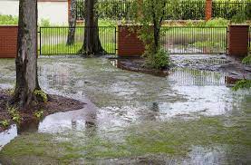 Lawn Flooding