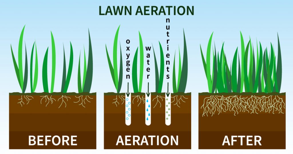 Aeration and custom sprinkler installation