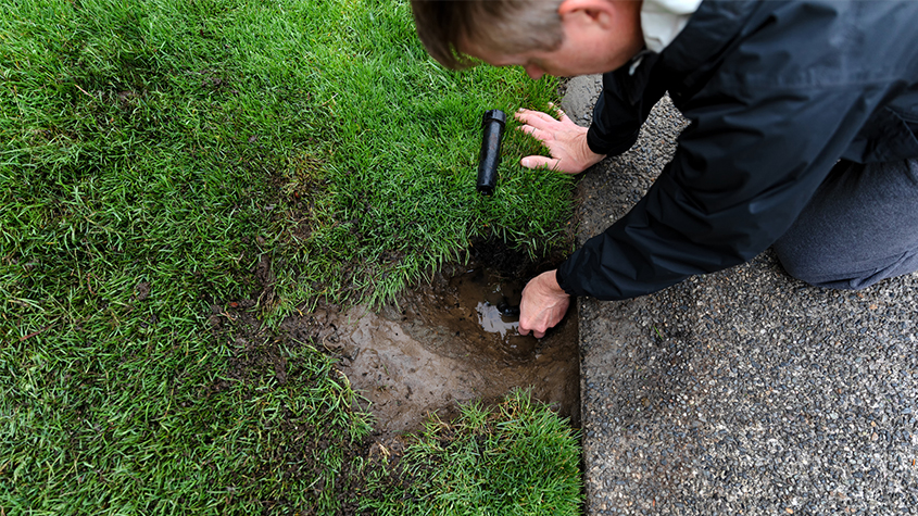 Sprinkler System 