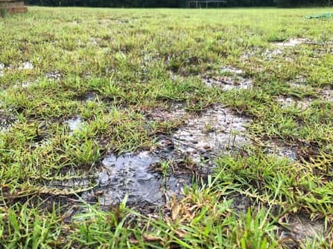 Eliminate Soggy Grass with Rain Shut-Off Device