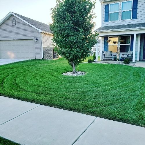 Garden dreams