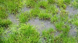 Sprinkler Waterlogging Noblesville