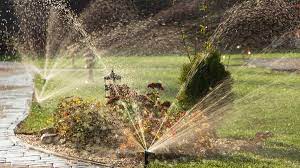IN Choosing the Right Sprinkler