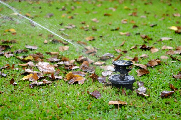 everything you need to know about your lawn in autumn and yard needs for the fall