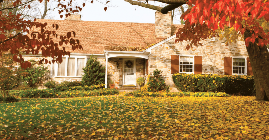 fall leaves and preparing the yard needs for the fall