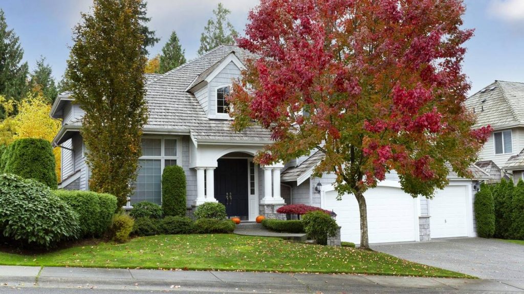 landscape autumn and yard needs for the fall