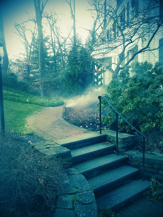 prepare for winterization in autumn with yard needs for the fall