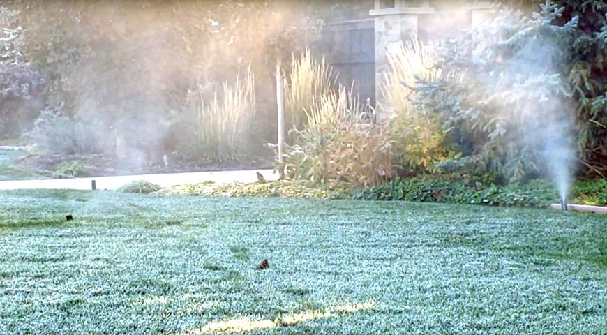 Sprinkler Company In Indiana For Fall blowout