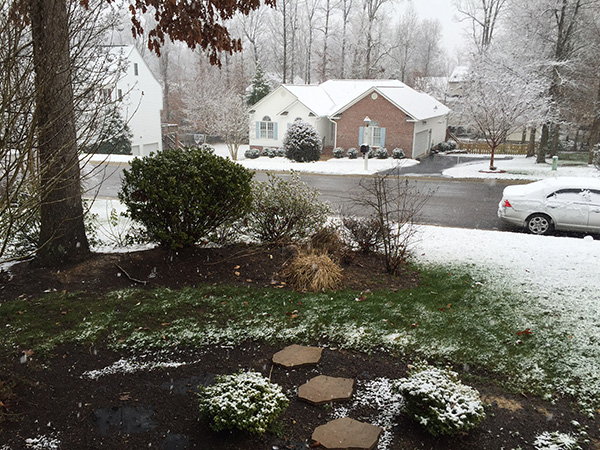 Absolute Irrigation In Indiana and the freeze