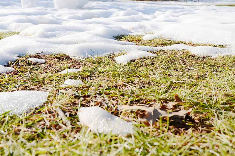 Winter lawn and snow Absolute Irrigation In Indiana