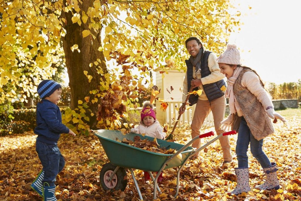 Your Home Landscape Lighting