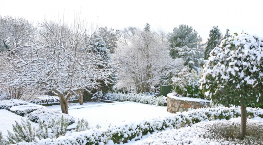 enjoy the winter Today