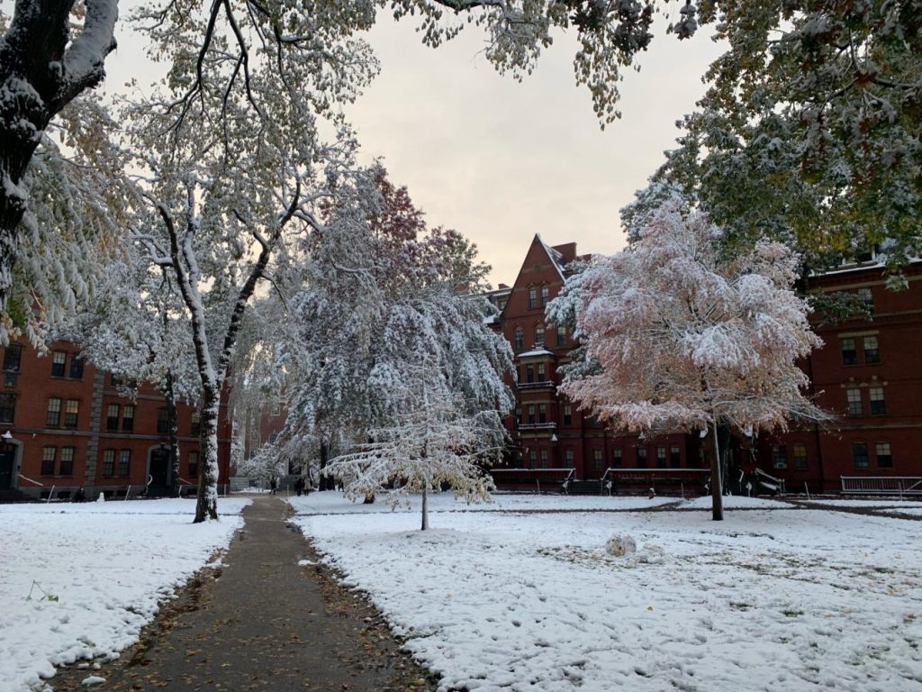 enjoy the winter with yard