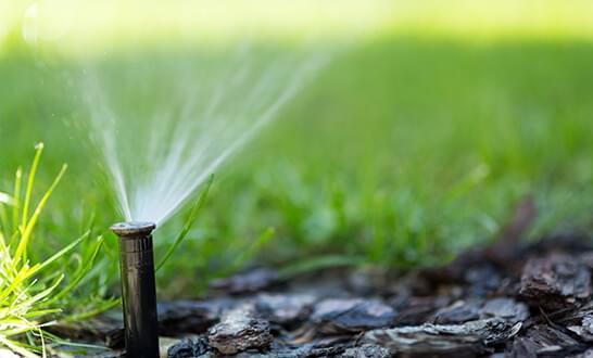 sprinkler system for my yard