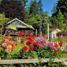 garden sprinklers watering tips